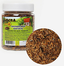 БОСПА ЭКО Протеиновый коктейль